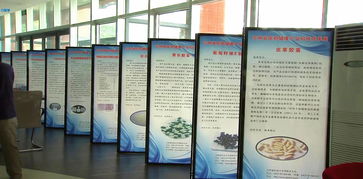吉林省醫(yī)藥健康產(chǎn)業(yè)科技成果對接會圓滿落幕，科技中介服務(wù)賦能產(chǎn)業(yè)創(chuàng)新